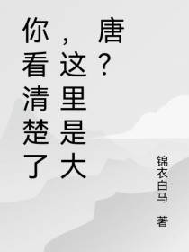 你看清楚了,这里是大唐？