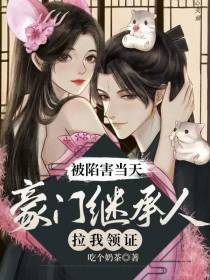 被陷害当天,豪门继承人拉我领证