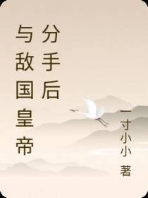 与敌国皇帝分手后