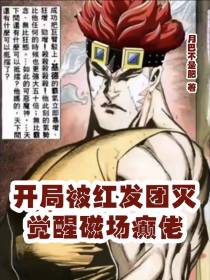开局被红发团灭,觉醒磁场癫佬