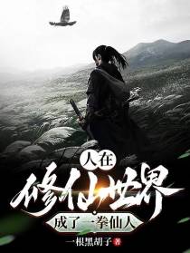 人在修仙世界,成了一拳超人