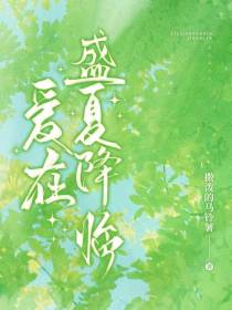 爱在盛夏降临