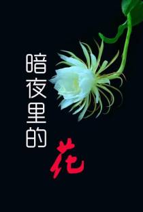 暗夜里的花
