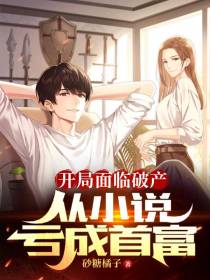 开局面临破产,从小说亏成首富
