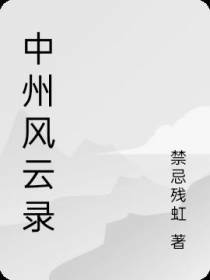 中州风云录