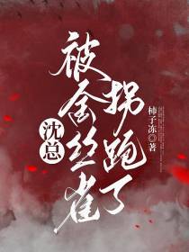 沈总被金丝雀拐跑了