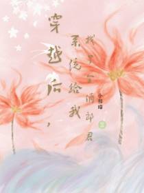 穿越后,系统给我找了个俏郎君