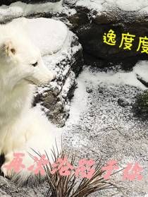 再次沦陷于你