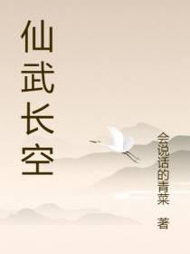 仙武长空