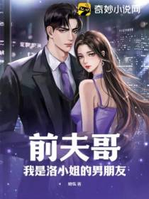 前夫哥,我是洛小姐的男朋友