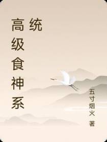 高级食神系统