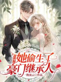 闪婚后,她偷生了豪门继承人