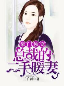 豪门独宠,总裁的二手暖妻