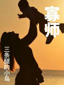 寡师