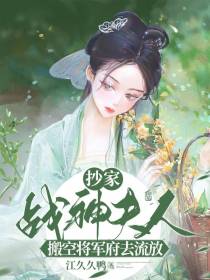 抄家,战神夫人搬空将军府去流放