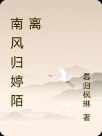 南风归婷陌离