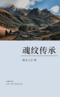 魂纹传承