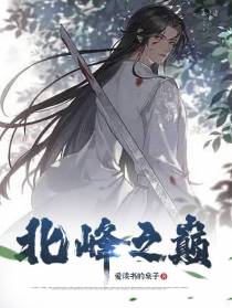 北峰之巅