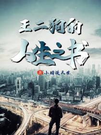 王二狗的人生之书