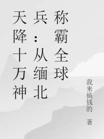 天降十万神兵：从缅北称霸全球