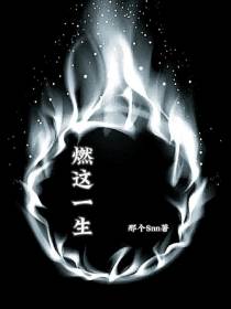 燃这一生