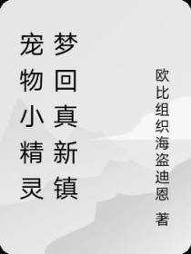 宠物小精灵梦回真新镇