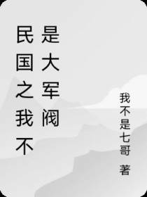 民国之我不是大军阀