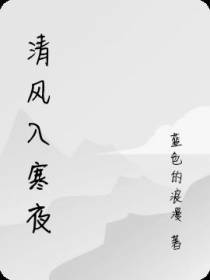 清风入寒夜