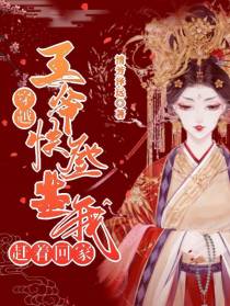 穿越：王爷,快登基,我赶着回家