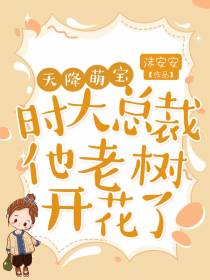 天降萌宝,时大总裁他老树开花了