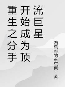 重生之分手开始成为顶流巨星