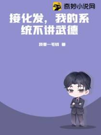 接化发,我的系统不讲武德
