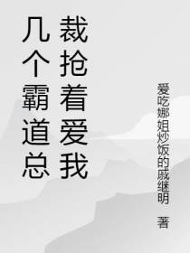 几个霸道总裁抢着爱我