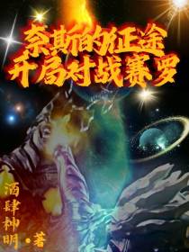 奈斯的征途,开局对战赛罗