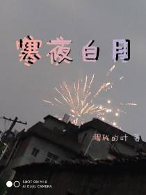 寒夜白月