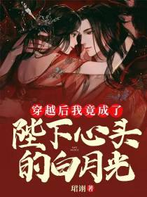 穿越后我竟成了陛下心头的白月光
