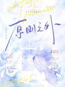 原则之外