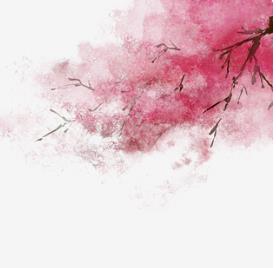 樱花络
