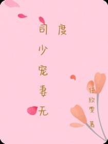 司夜寒宠妻无度