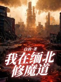 我在缅北修魔道