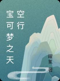 宝可梦之天空行
