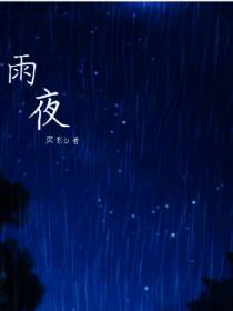 忆雨夜