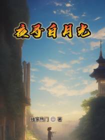 夜寻白月光