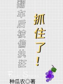 翻车后被偏执狂抓住了