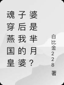 魂穿燕国王子后我的婆婆是芈月？