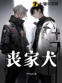 丧家犬