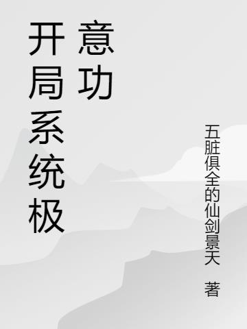 开局系统极意功