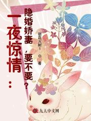 一夜惊情：隐婚娇妻，要不要？