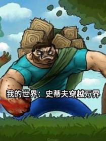 我的世界：史蒂夫穿越万界