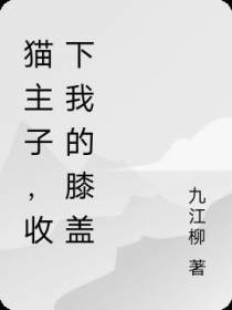 猫主子,收下我的膝盖